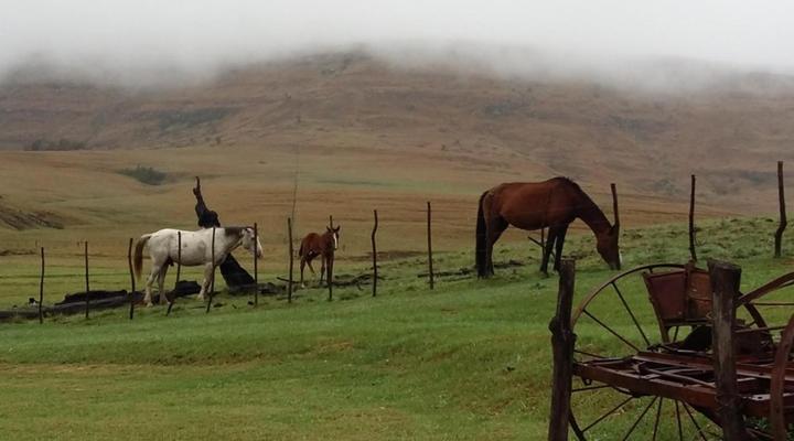 Fairbairn Guest Farm
