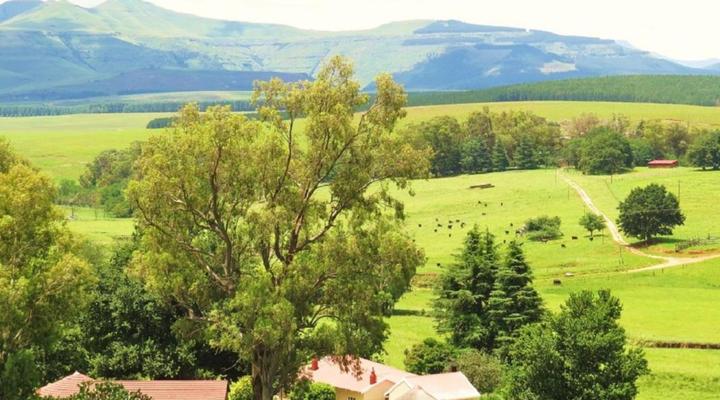 Fairbairn Guest Farm