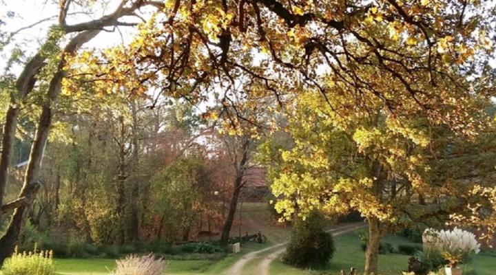 Fairbairn Guest Farm