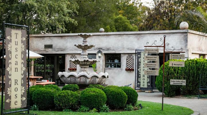 Tuscan Rose