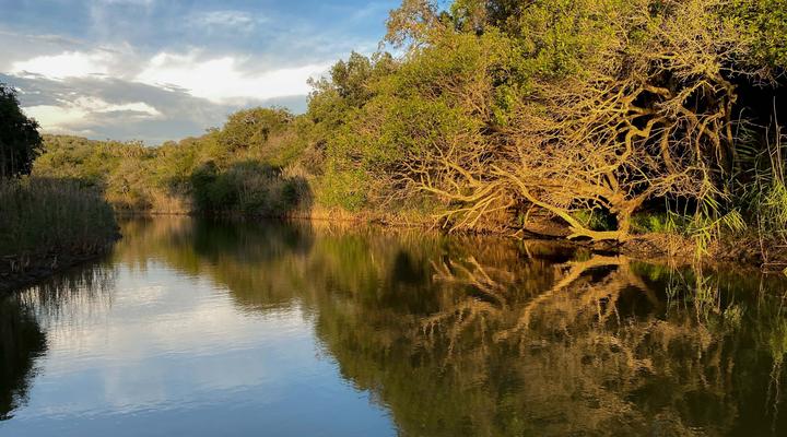 Oribi Haven Cottages