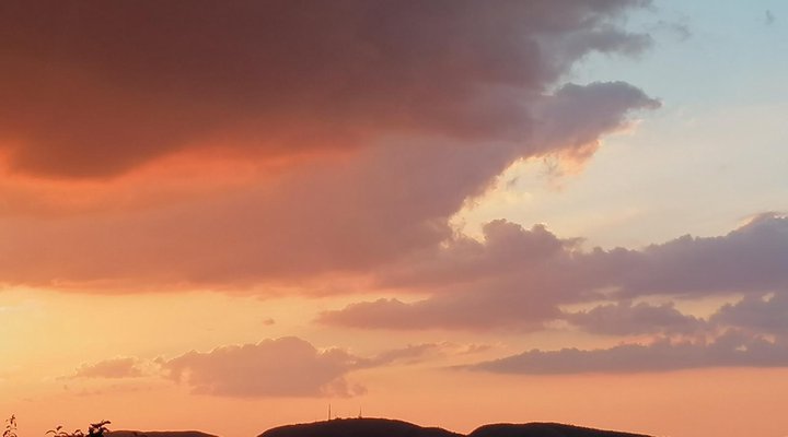 Agapanthus Guest House