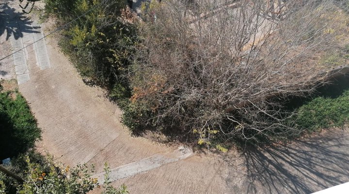 Agapanthus Guest House