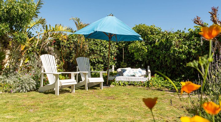 Guinea Fowl House B & B