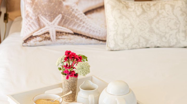 Guinea Fowl House B & B