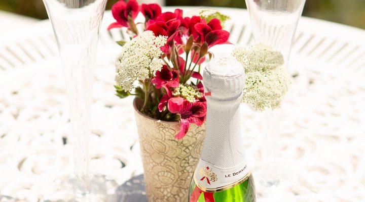 Guinea Fowl House B & B