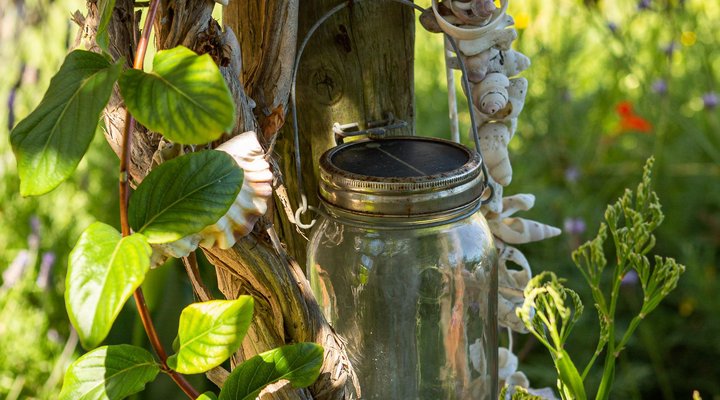 Guinea Fowl House B & B