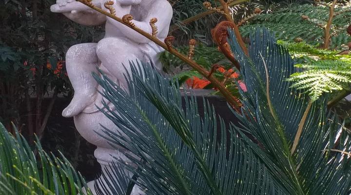 Absolut Guest Boutique