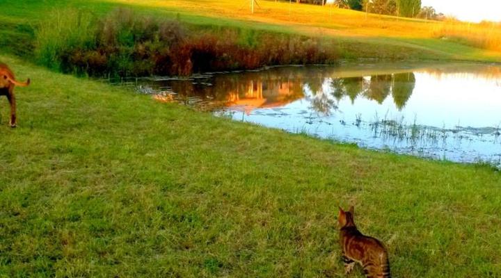 River Crossing Berg Accommodation
