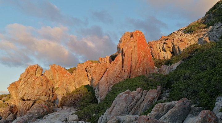 A103 Whale Cove