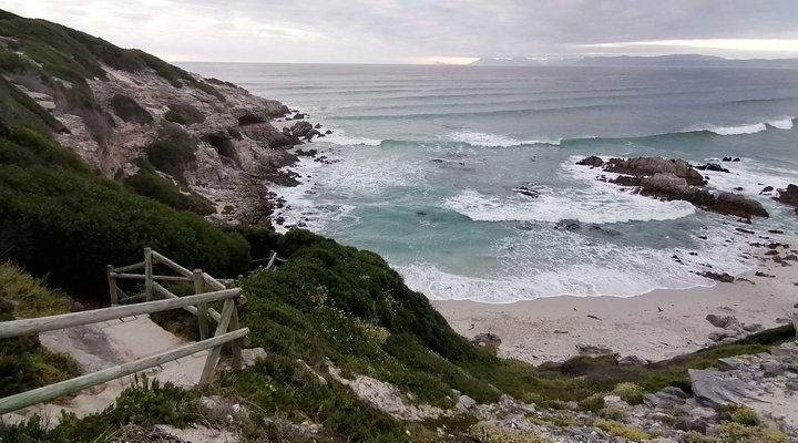 A103 Whale Cove