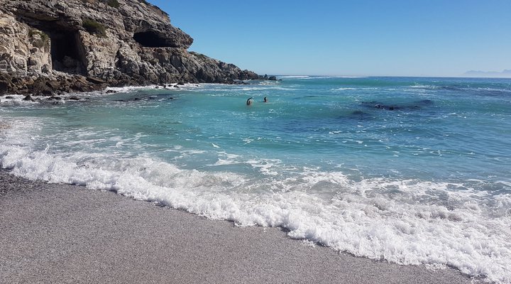 A103 Whale Cove