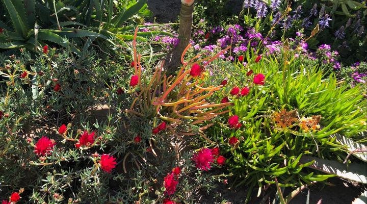 Sunset Beach Living Guesthouse