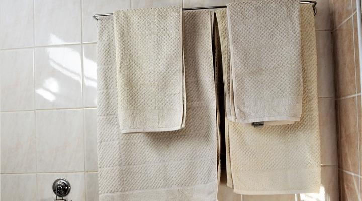 Honeybee Education & Party Farm