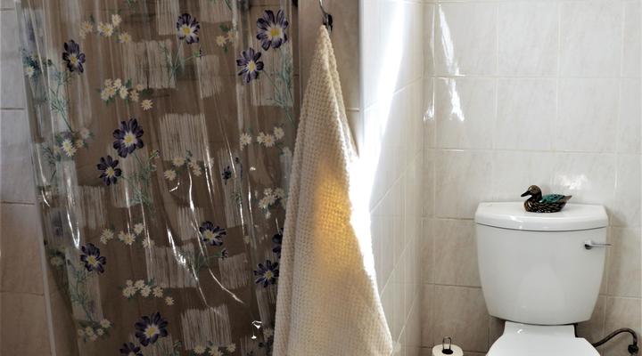 Honeybee Education & Party Farm