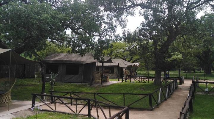 Kruger- Andova Tented Camp