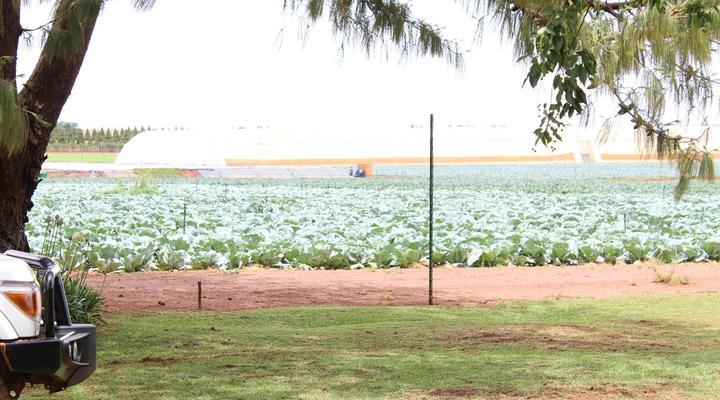 Shortlands Farm Stay