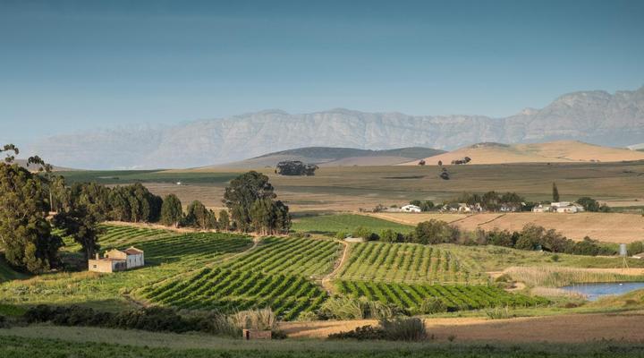 AA Badenhorst Family Wines