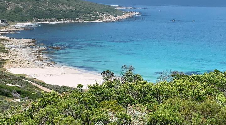 Romansbaai Collection