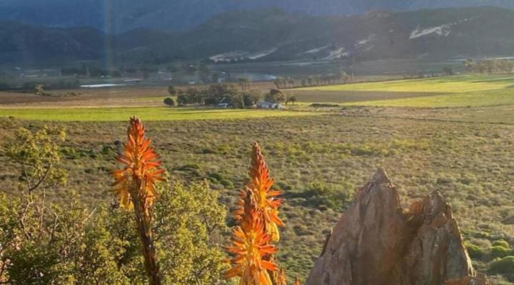 De Goede Hoop Farmstead