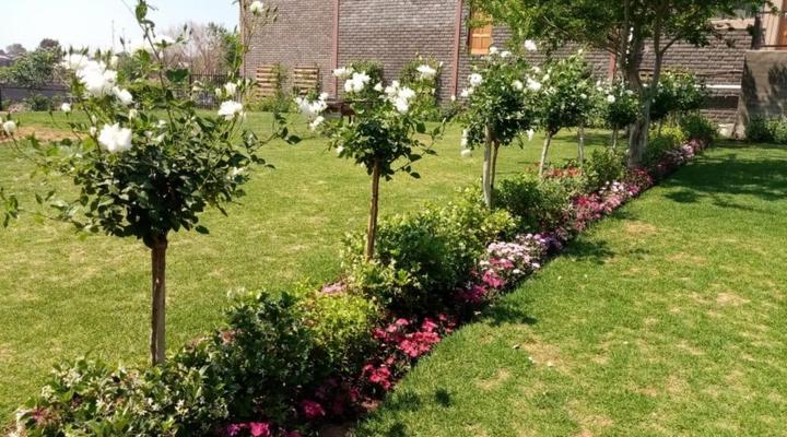 PMG Hardware T/A Wisteria Lane Guest House