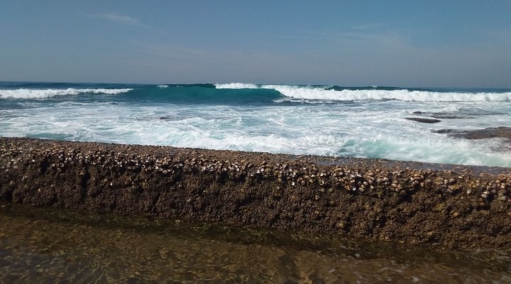 Our Little Piece of Paradise