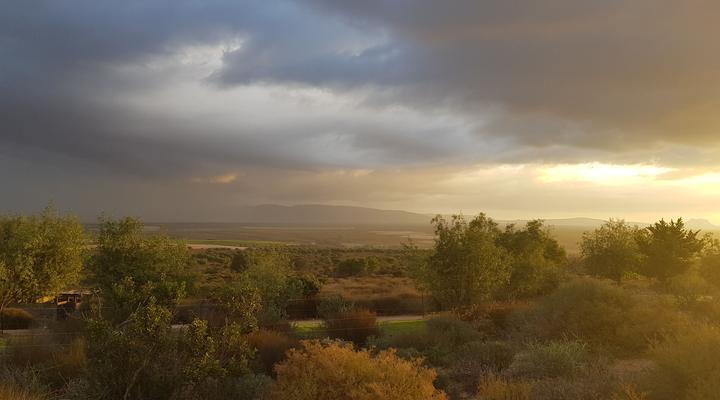 Goudkop Bush & Detox Camp