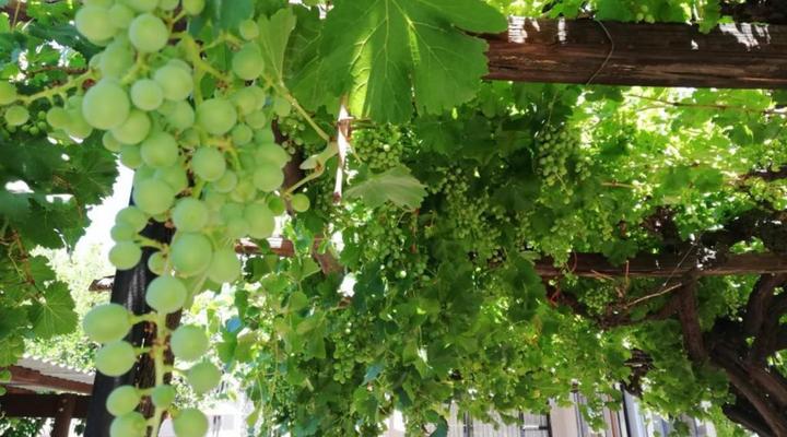 Nooitgedacht Town Lodge