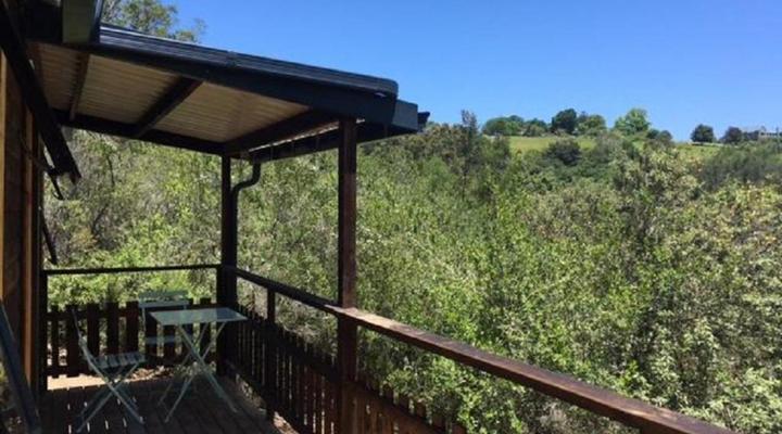 Loerie Mountain Cabin