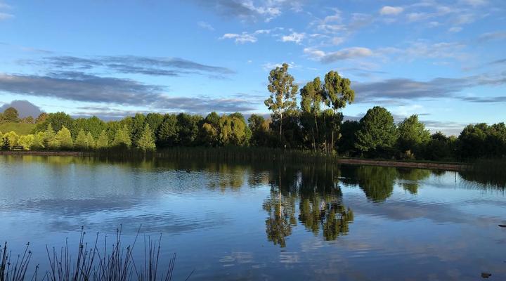 Lakeside Chalets 3 & 4 Critchley Hackle Lodge