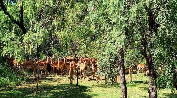 Elements Private Golf Reserve Holiday Home 109 & 111