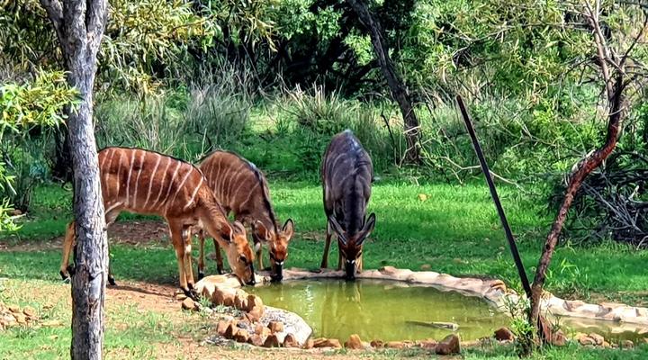 Elements Private Golf Reserve Holiday Home 109 & 111