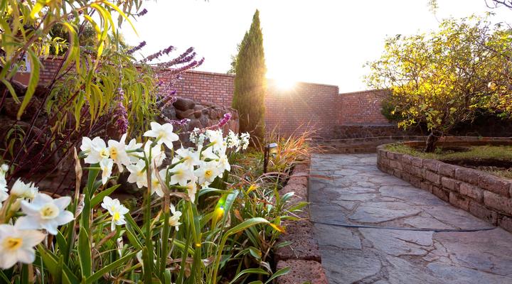 Angela's Guest Lodge