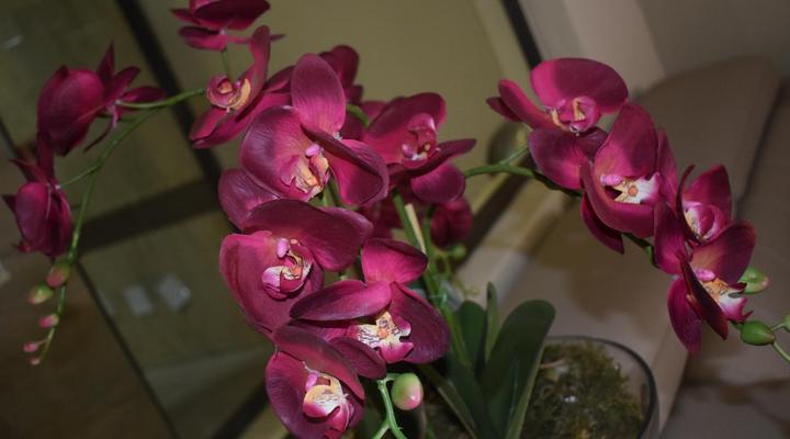 Eagle Nest Luxury Accommodation