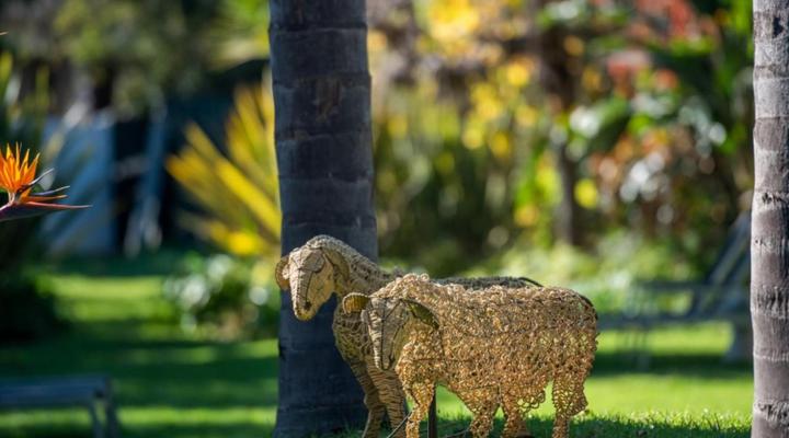 Ballinderry, The Robertson Guest House