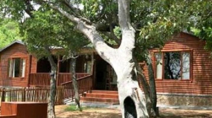 Lindani Game and Lodges