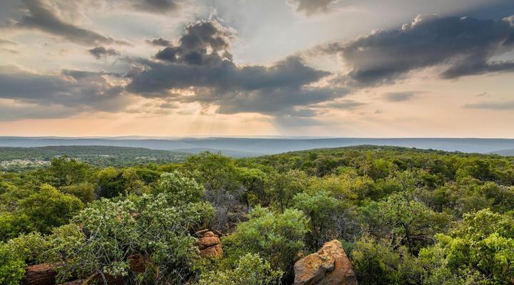 Lindani Game and Lodges