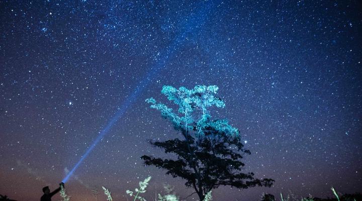 Lindani Game and Lodges