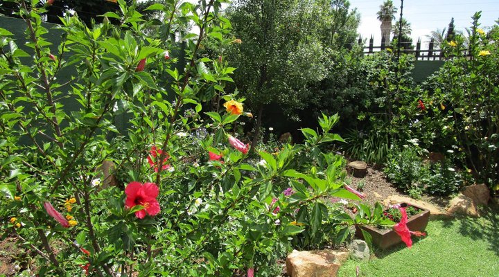 Silver Birch Bed & Breakfast