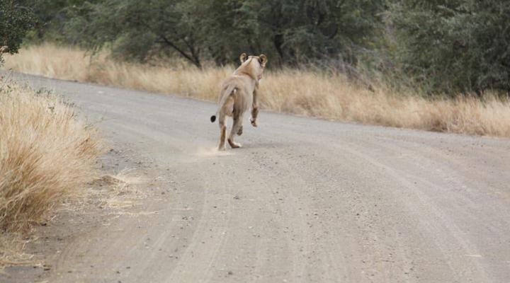 Hornbills Rest Country Home