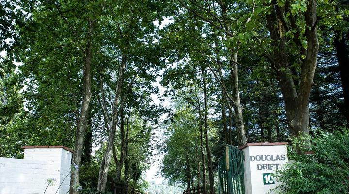 Douglas Drift
