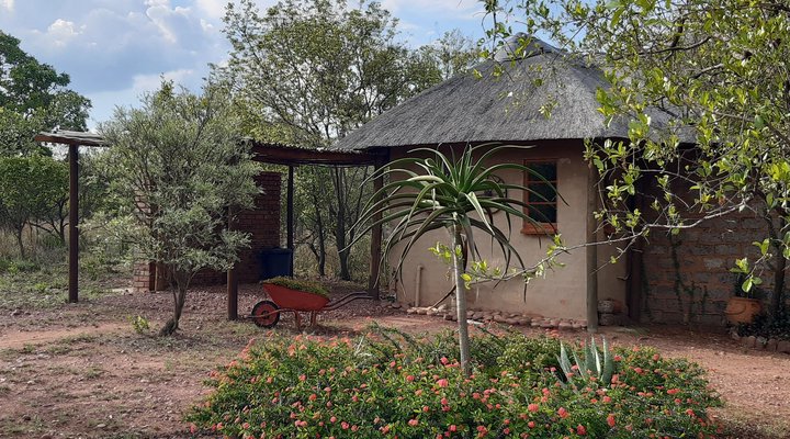 Five Pebbles on Piece of Africa