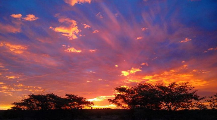 Five Pebbles on Piece of Africa