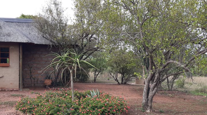 Five Pebbles on Piece of Africa