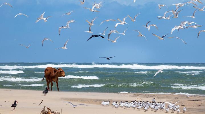 Kei Mouth Guest Lodge