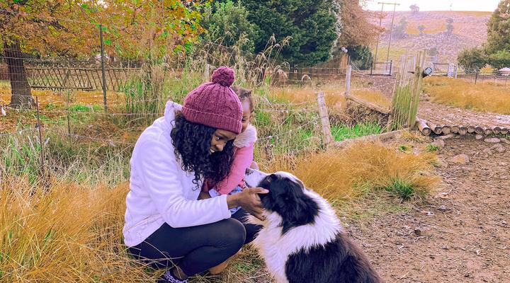 Copperleigh Trout Cabin