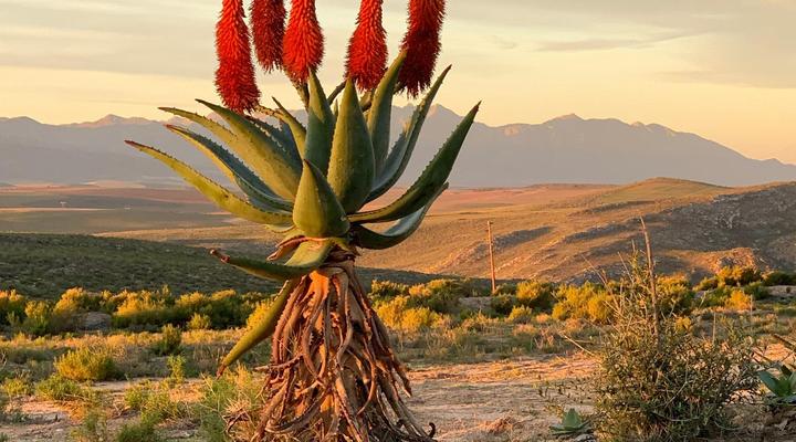 Breathe Lodge & Cottage