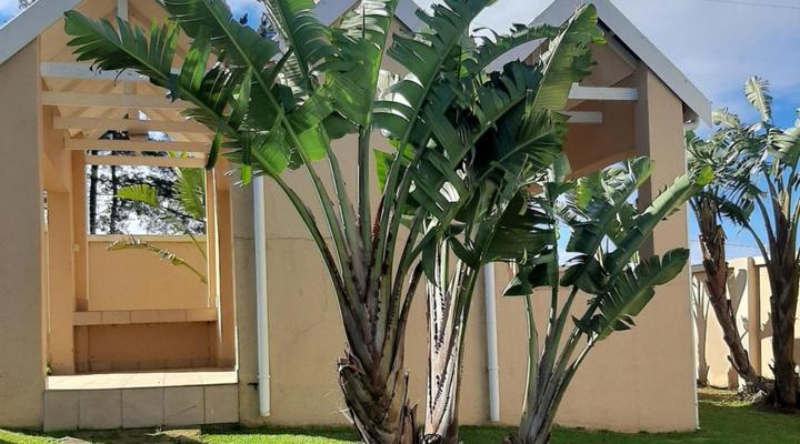 Sea Glimpse Holiday Resort