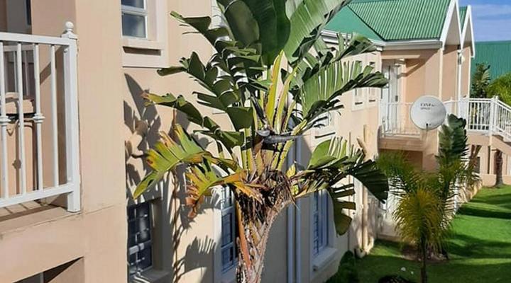 Sea Glimpse Holiday Resort