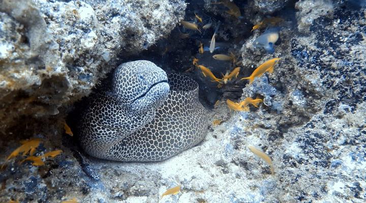 Deep Sea Fishing Package